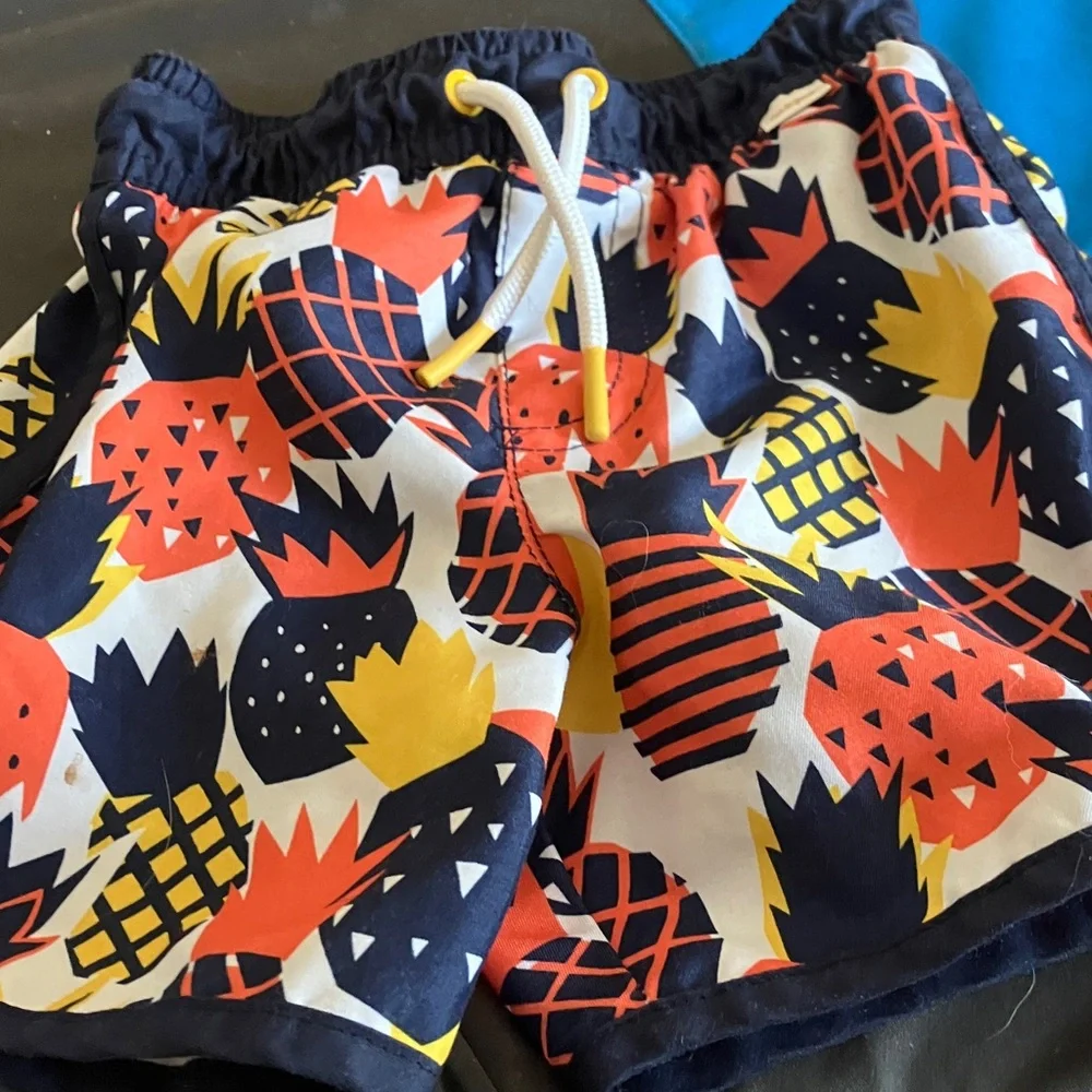 Colorful Pineapple Print Swim Shorts 2t